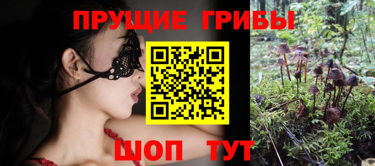 Псилоцибиновые грибы Cubensis  Вход с VPN  Анжеро-Судженск  Галлюциногенные грибы Cubensis 
